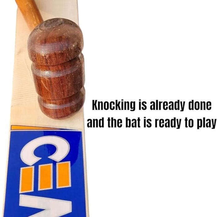 WhatsApp Image 2025-06-26 at 5.35.54 PM