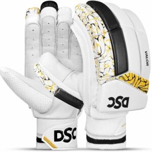 DSC INTENSE VALOR