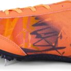 WhatsApp Image 2025-06-26 at 9.41.53 PM (2)