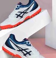 Shoe